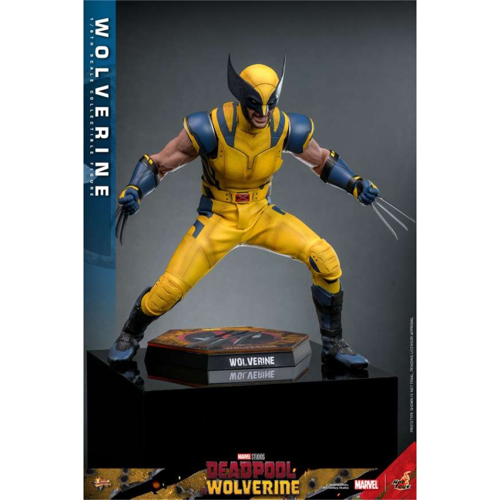 MMS753 - Deadpool & Wolverine - 1/6th scale Wolverine - Kingdomcome